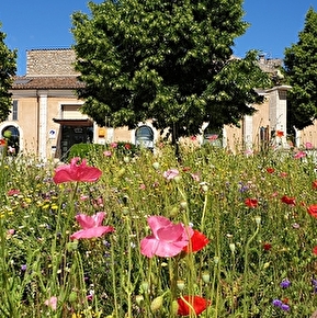 Pays Diois Tourist Office - Die