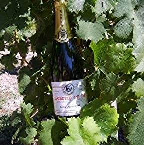 Cave Lantheaume Patrick