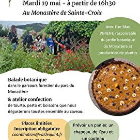 Balade botanique - Apéro sauvage
