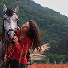 Cheval et coquelicot 3