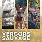 Projection animée - Vercors sauvage