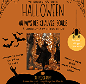 Fête d'Halloween- Au Pays des Chauves-Souris